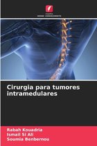 Cirurgia para tumores intramedulares