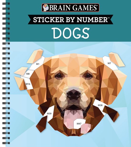 Brain Games - Sticker by Number- Brain Games - Sticker by Nu ... - cover