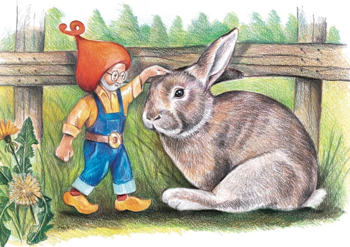 Kabouter Winslow en de konijn - Poster - 60 x 40 cm