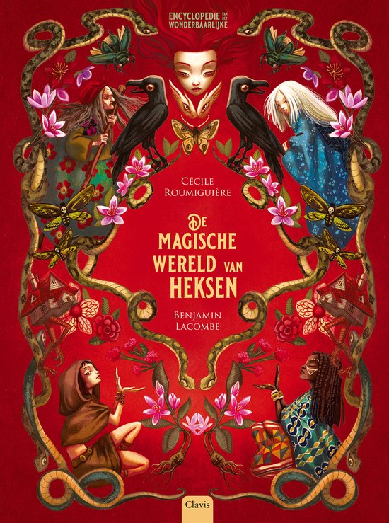 De magische wereld van heksen. 12+ - cover