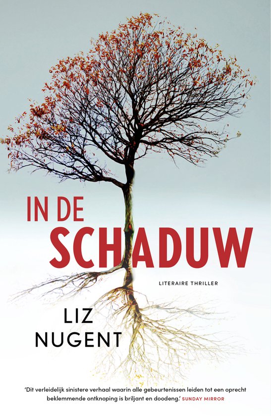 In de schaduw - cover