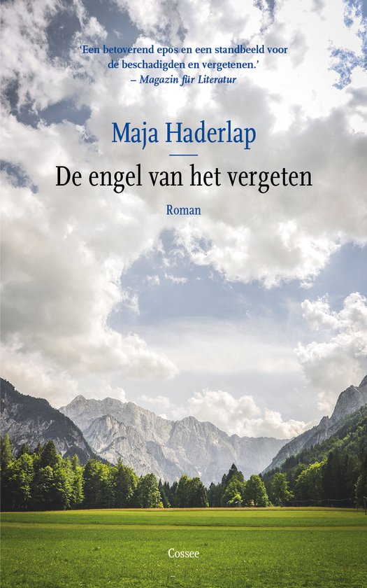 Boekomslag 'De engel van het vergeten' van Maja Haderlap, met een berglandschap onder een bewolkte hemel.