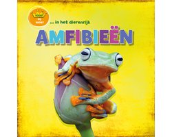 Soort bij soort in het dierenrijk - Amfibieën
