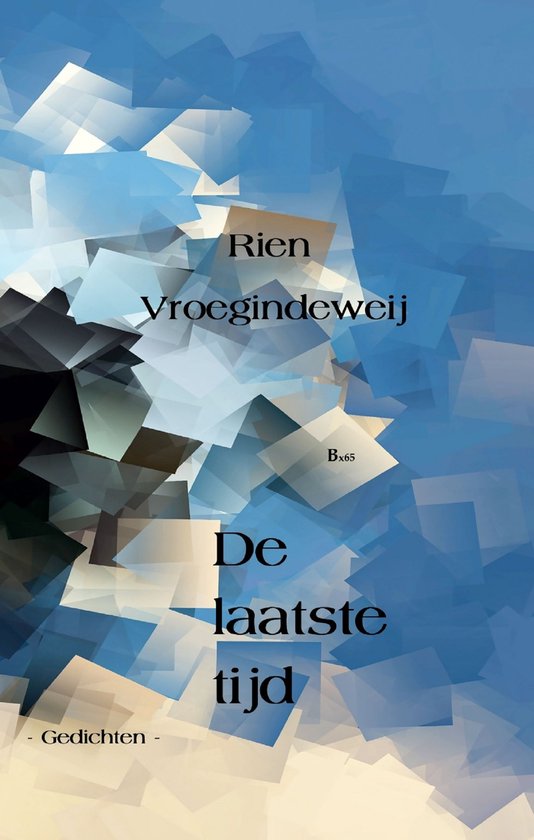 Boek 'De laatste tijd' door Rien Vroegindeweij met een abstracte blauwe achtergrond.