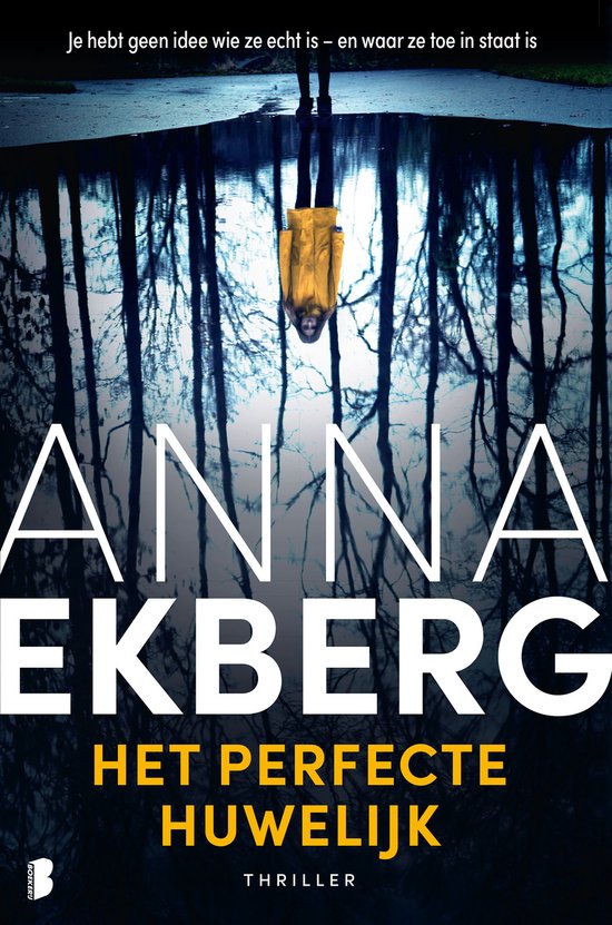 Het perfecte huwelijk - cover