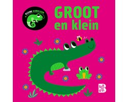 Groot en klein 1 - Kleine kameleon