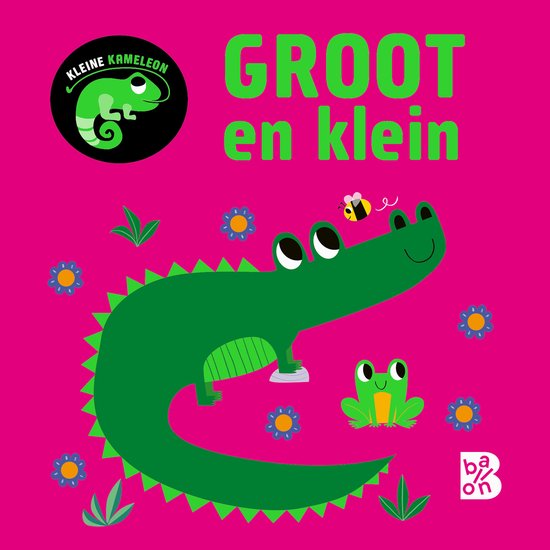 Groot en klein 1 - Kleine kameleon – Hardcover