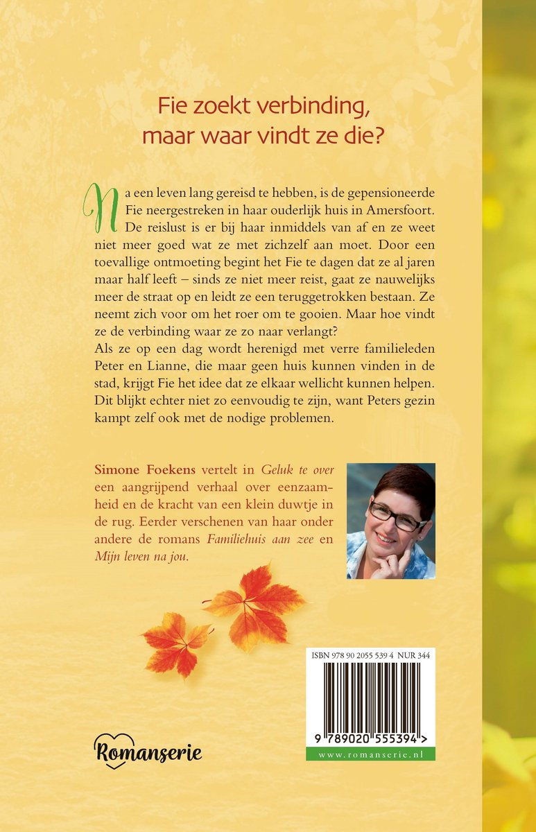 Romanserie - Geluk te over - back cover