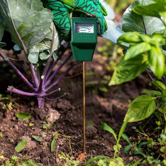 Watermeter voor kamerplanten-2 stuks-watermeter-Bodemtest hygrometer sensor-Watermeters voor planten voor binnen- En buitengebruik-Tuingeschenken - Geen batterijen nodig
