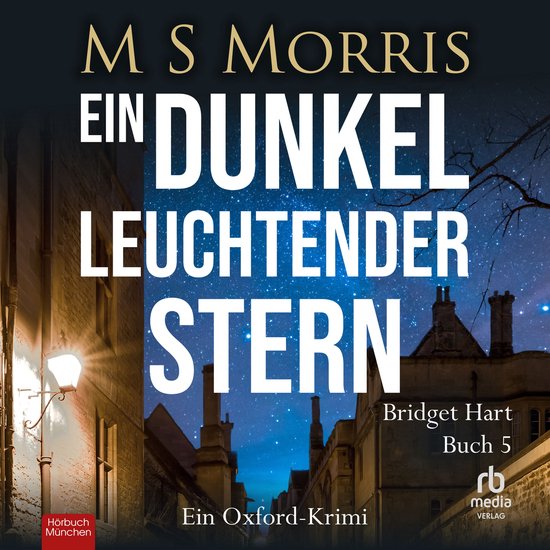 Ein dunkel leuchtender Stern - cover