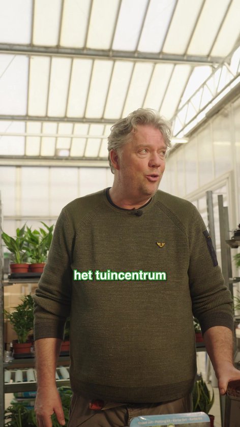vdvelde.com