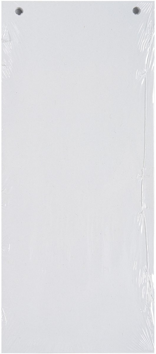 Exacompta 12x FOREVER® Pak van 100 horizontale tabstroken met perforatie 180g - 105x240mm - Wit - 13405B