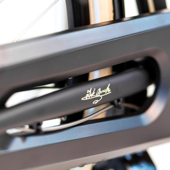 PUCH E-Rock N7 Elektrische Fiets – E-bike – Rijklaar Geleverd - Lage Instap - Framemaat 55 - Uitneembare Accu - 28 Inch - 250W Ananda Motor - 120 km Actieradius - Coal Black Matt — afbeelding 3