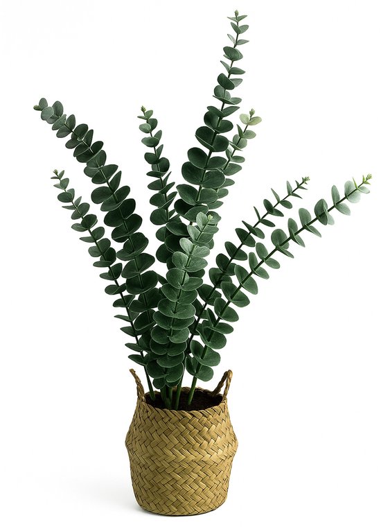 Plante artificielle d'eucalyptus de 50 cm de haut dans un panier tressé avec des poignées, sur fond blanc.