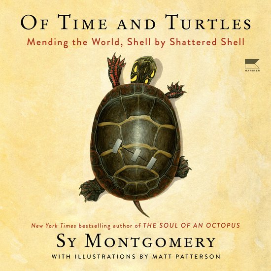 Of Time and Turtles - cover