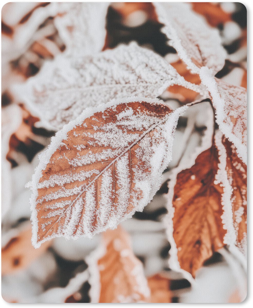 Muismat 19x23 cm - Mousepad Bladeren - IJs - Winter - Natuur - Muismatten