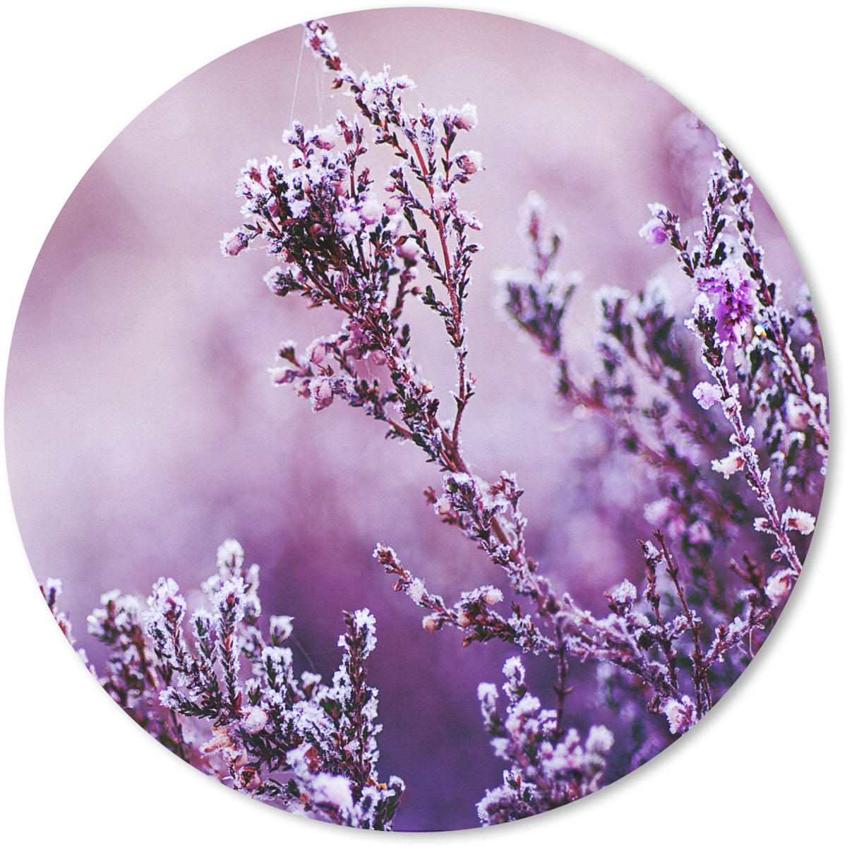 Muismat rond 20x20 cm - Mousepad Lavendel - Winter - Bloemen - Paars - Ronde muismatten