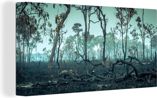 Burned down Amazon rainforest 160x80 cm - Tirage photo sur toile  (Décoration murale... | bol.com