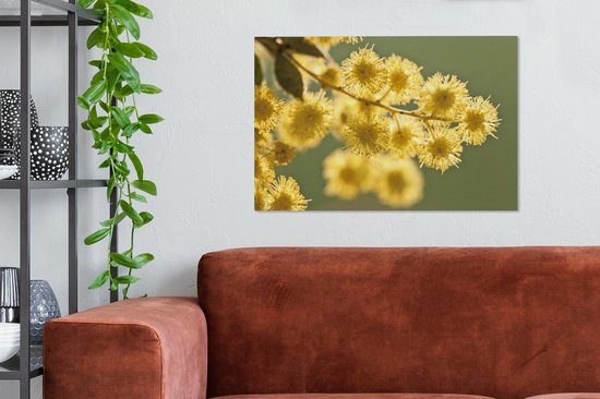 Canvas Schilderij Close up van gele acacia bloemen tegen een groene achtergrond - 90x60 cm - Wanddecoratie