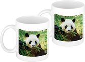 4x stuks dieren koffiemok / theebeker wit bamboe etende panda 300 ml - keramiek - dierenmokken - cadeau beker
