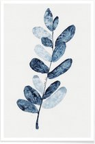 JUNIQE - Poster Blue Plant -40x60 /Blauw & Wit