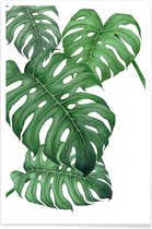 JUNIQE - Poster Tropical No.2 -20x30 /Groen & Wit