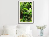 Poster - In the Rainforest-40x60