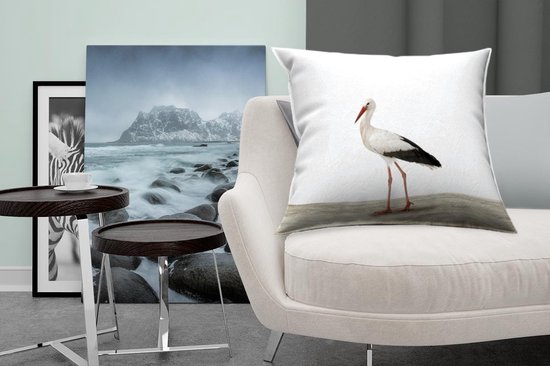 Animaux - Cigogne - Wit