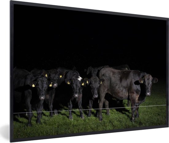 Poster met lijst Koeien op zwarte achtergrond - Koeien achter draad in de  nacht -... | bol.com