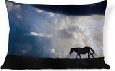 Sierkussen Paarden pour l'intérieur - Cheval dans les montagnes - 60x40 cm - Coussin intérieur rectangulaire en coton