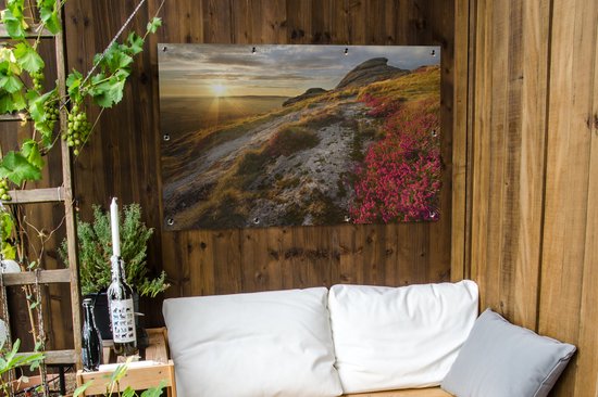 Fleurs roses sur le paysage vallonné de Dartmoor National Park Garden poster 120x80 cm - Toile de jardin / Toile d'extérieur / Peintures pour l'extérieur (décoration de jardin)