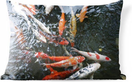 Buitenkussens - Tuin - Een grote groep koi karpers - 60x40 cm
