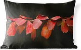 Buitenkussens - Tuin - De rode bladeren op een zwarte achtergrond - 50x30 cm