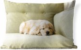 Buitenkussens - Tuin - Een slapende Golden Retriever puppy op de bank - 50x30 cm