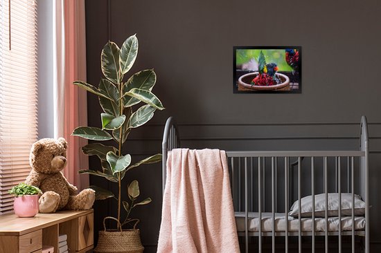 Photo encadrée - Perroquet ludique dans un bain d'oiseaux cadre photo noir sans passe partout 30x20 cm - Affiche encadrée (Décoration murale salon / chambre)