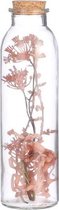 Mica Decorations Kunstbloem Daucus Carota 20 Cm Glas