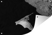 Muurdecoratie Vleermuis in grot - zwart wit - 180x120 cm - Tuinposter - Tuindoek - Buitenposter