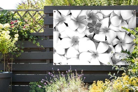 Affiche jardin - Toile Posters de jardin extérieur - Motif fleurs de Plumeria - noir et blanc - 120x80 cm - Jardin