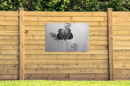 Affiche jardin - Toile jardin - Posters de jardin extérieur - Papillon bleu - noir et blanc - 120x80 cm - Jardin