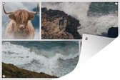 Collage d' Posters de jardin - Highlander écossais - Mer - 90x60 cm
