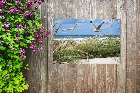 Décoration de jardin Plage - Vogel - Plantes - 60x40 cm - Poster jardin - Toile jardin - Poster extérieur