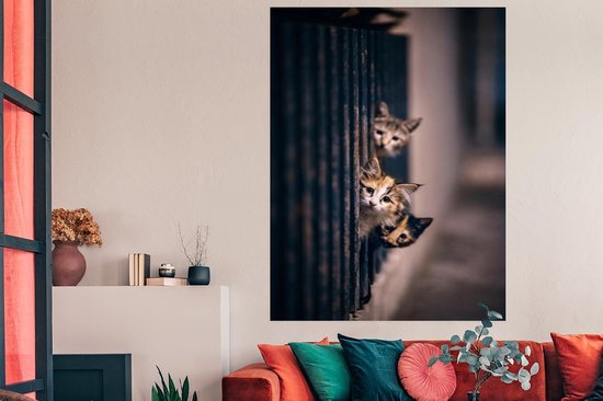 Les Chats regardent curieusement au coin de la rue 120x180 cm XXL / Groot format ! - Tirage photo sur Poster (décoration murale salon / chambre)