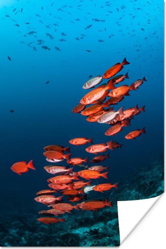 Affiche Pêche - Rouge - Océan - 20x30 cm