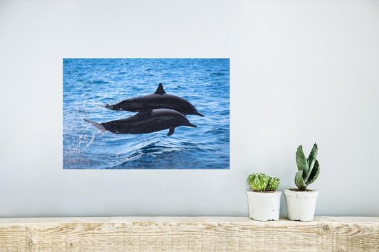 Affiche Dauphin - Mer - Animal - 30x20 cm