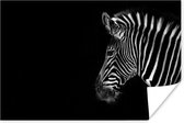 Poster Zebra sur fond noir papier 90x60 cm - Tirage photo sur Poster (décoration murale salon / chambre) / Poster Animaux sauvages