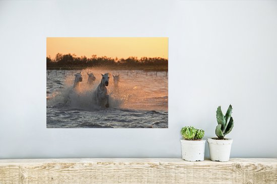 Paarden galopant dans les eaux profondes en Camargue poster papier 40x30 cm - petit - Tirage photo sur Poster (décoration murale salon / chambre)