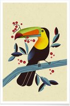 JUNIQE - Poster Toucan II -20x30 /Kleurrijk