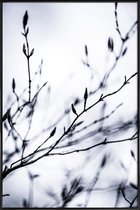 JUNIQE - Poster in kunststof lijst Winter Branches 2 -30x45 /Wit &