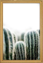 JUNIQE - Poster met houten lijst Cactus 1 -30x45 /Groen & Wit