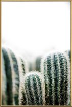 JUNIQE - Poster met kunststof lijst Cactus 1 -20x30 /Groen & Wit